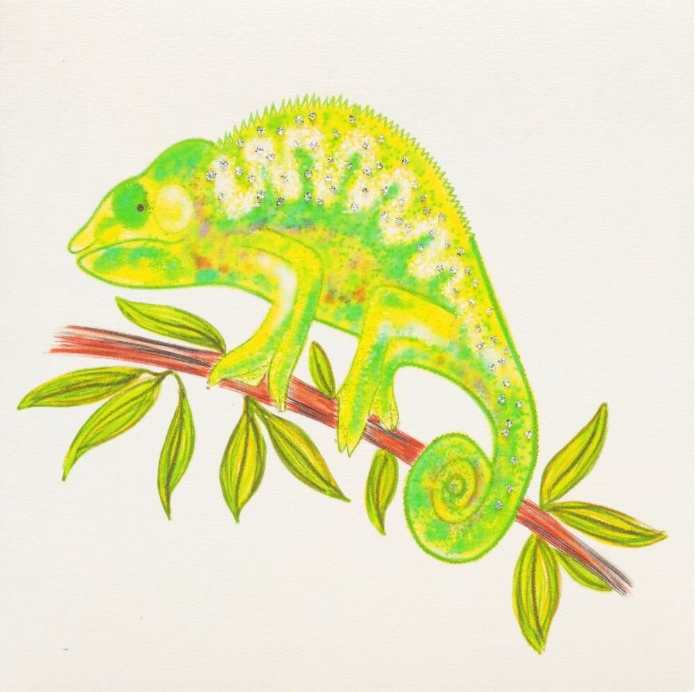 Chameleon - 393G