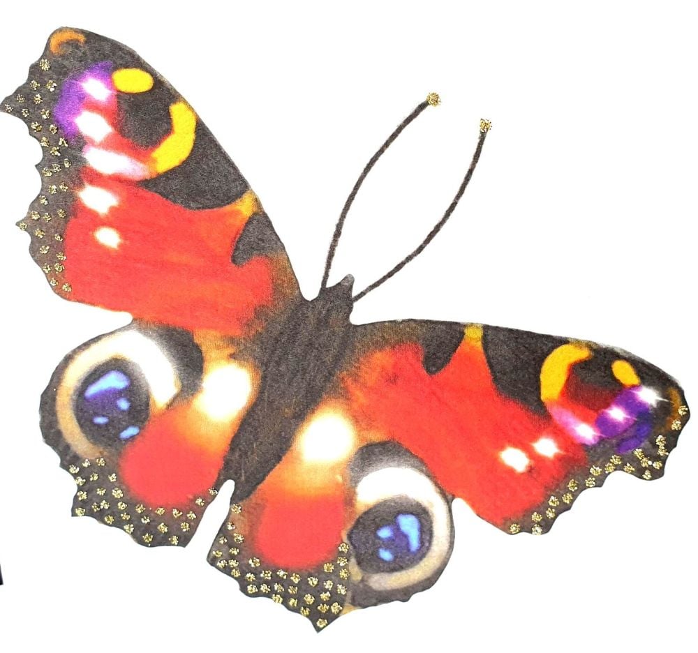 Butterfly ( Red ) - 488G