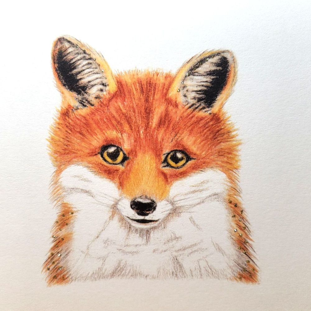 Basil fox -  442G