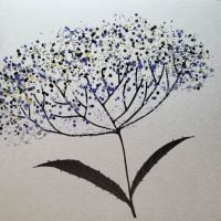Cow Parsley ( Coloured ), clay board - 9C