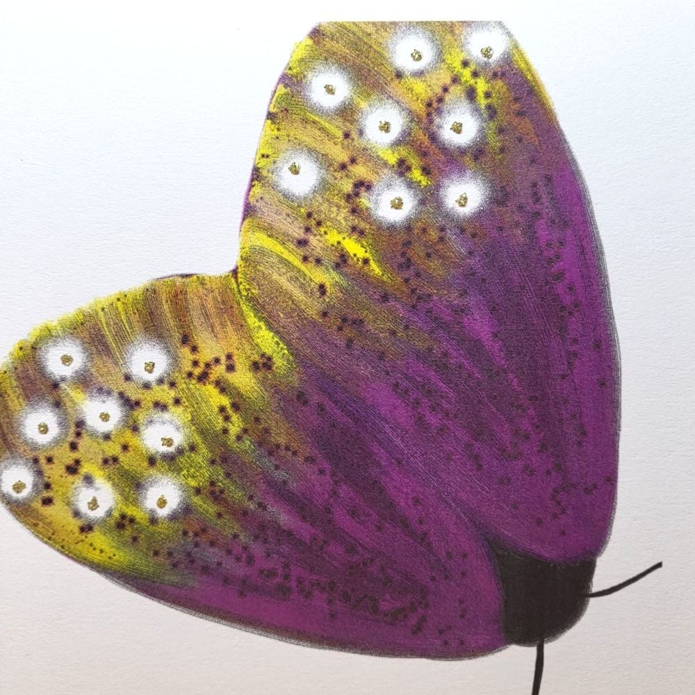 Moth ( Purple ) - 26BG