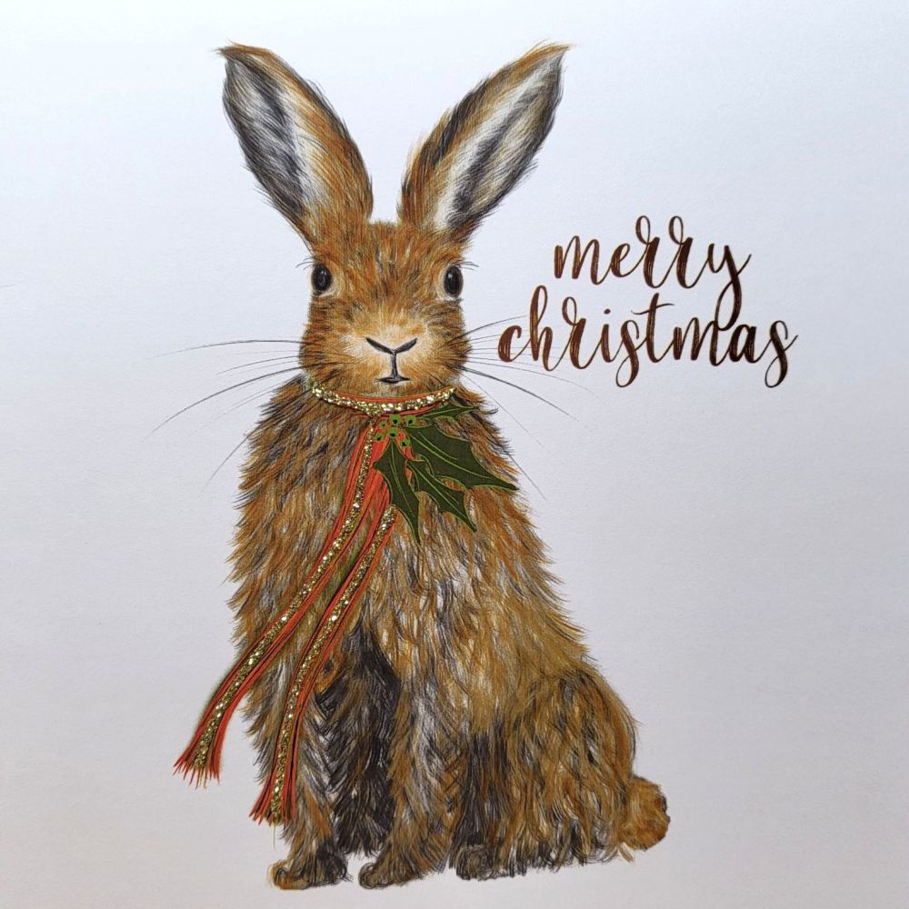 Christmas Hare - 341XW