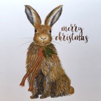 Christmas Hare - 341XW