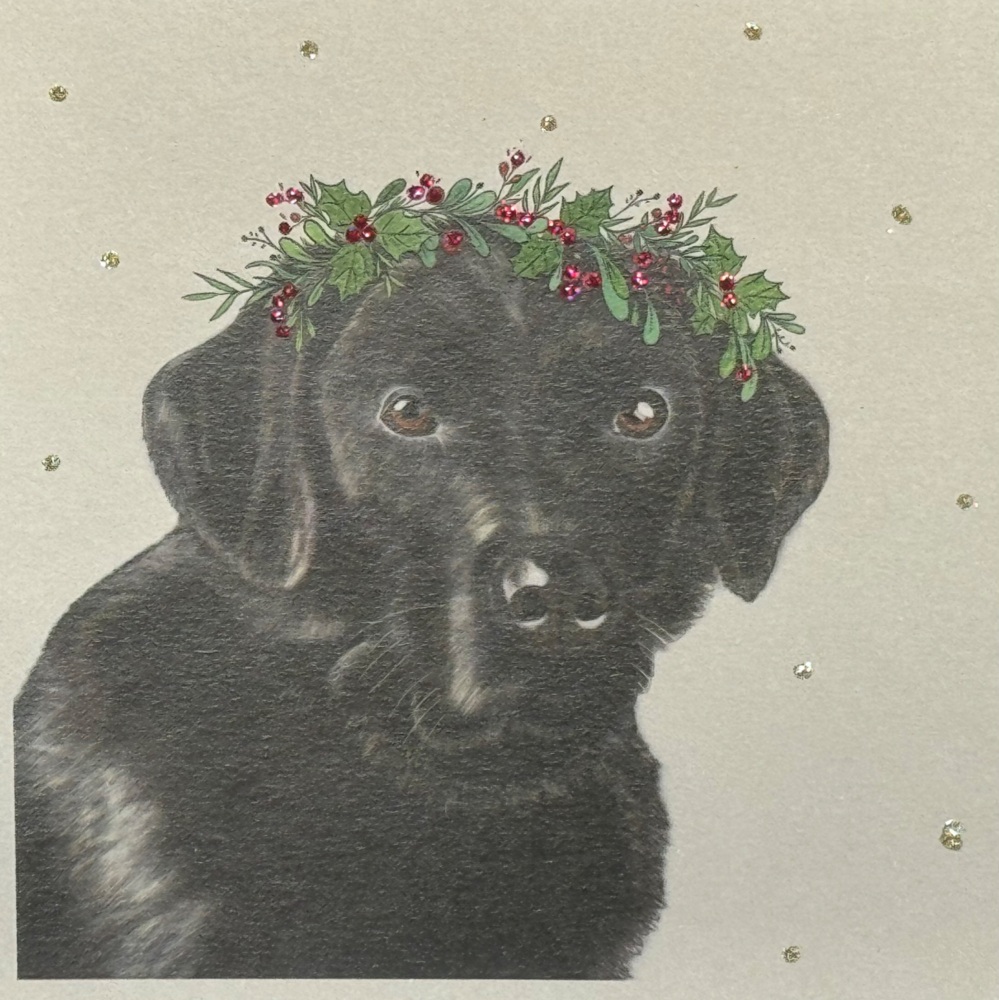 1004 XC  Christmas Bert