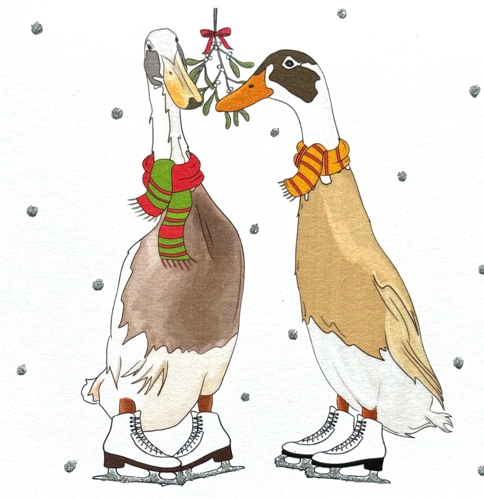 1007 XG -  Christmas ducks