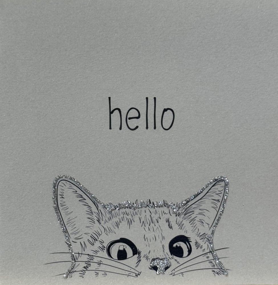 1023 C. Hello Cat