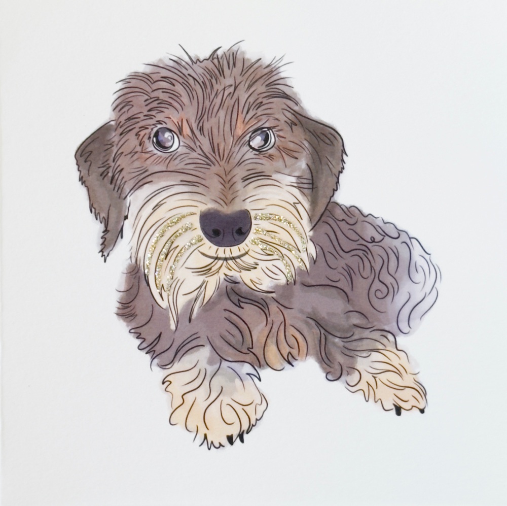 1043 G  Whiskers terrier