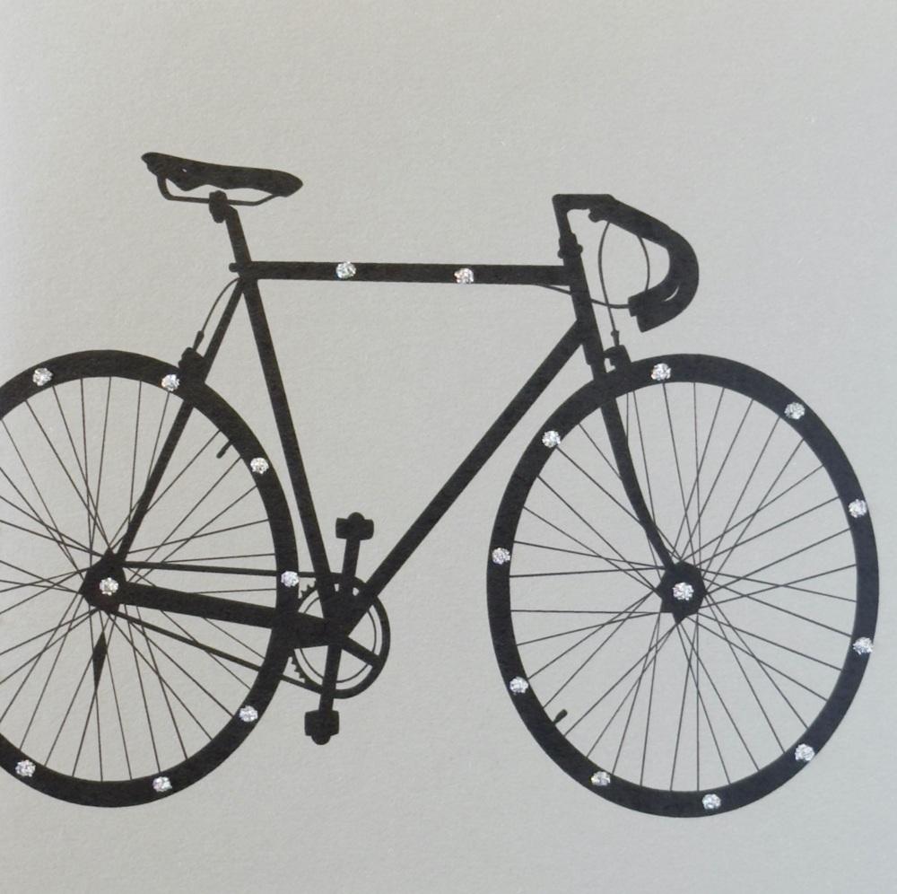93 G  Bike