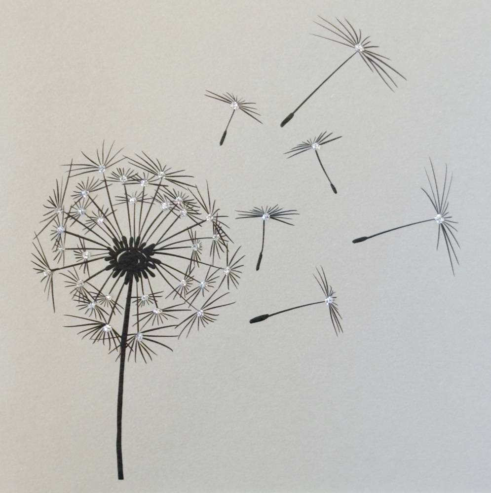 69 C  Dandilion