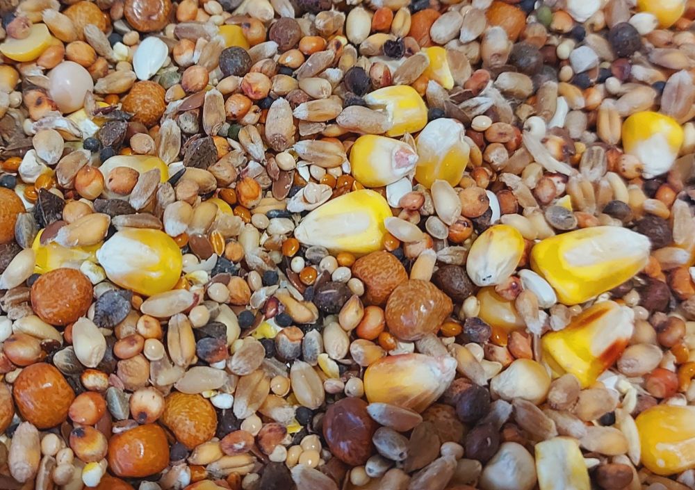 5kg Mixed large & Small Seed Spodding Mix