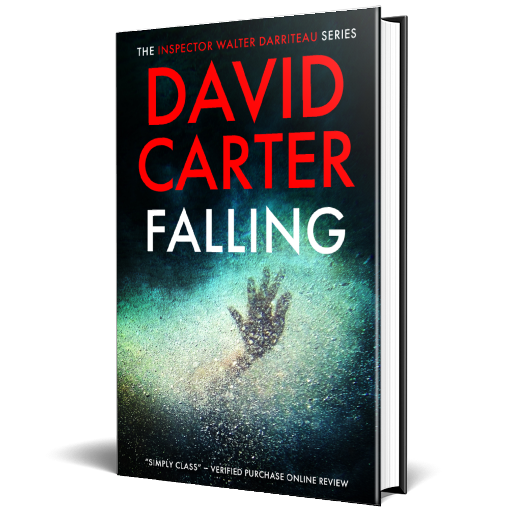 Falling 3d Hard back 6.12.23