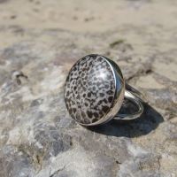 Sterling Silver Fossilised Coral Specimen Ring
