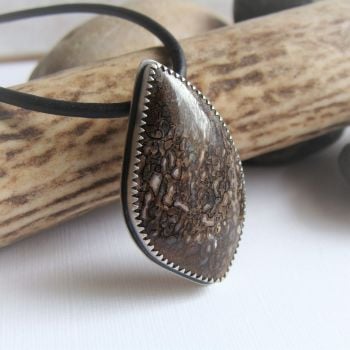 RESERVED for Joe - Real Dinosaur Bone Sterling Silver Pendant Leather Necklace