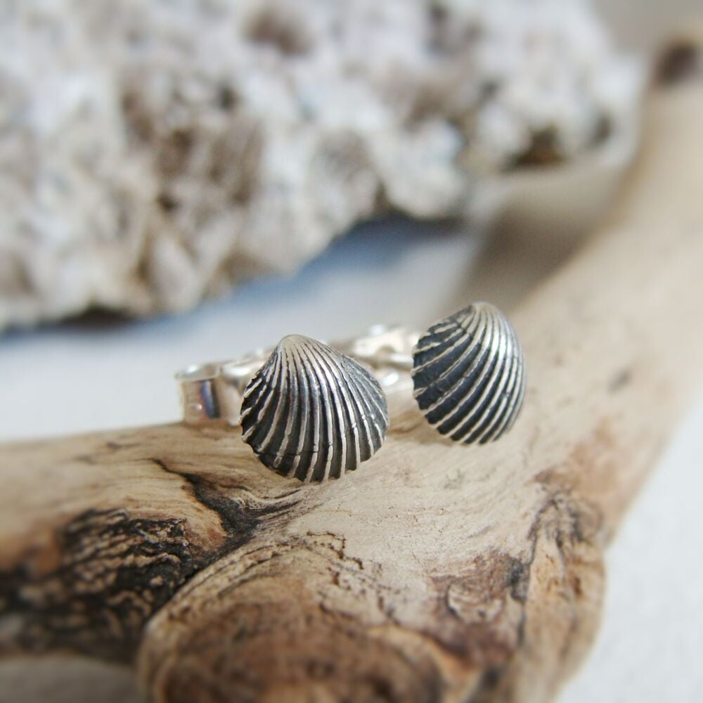 Fine Silver Clam Shell Fossil Stud Earrings