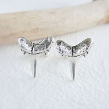 Fine Silver Shark Tooth Specimen Stud Earrings