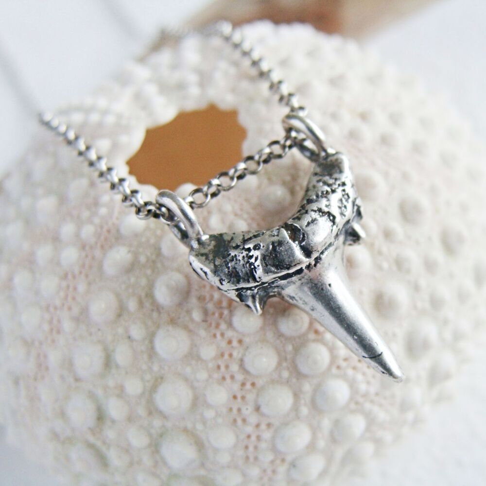 Fine Silver Shark Tooth Specimen Necklace