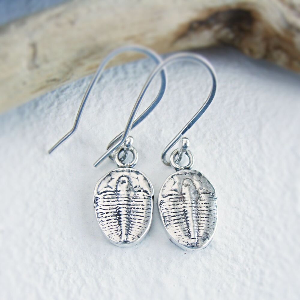 Fine Silver Trilobite Specimen Earrings