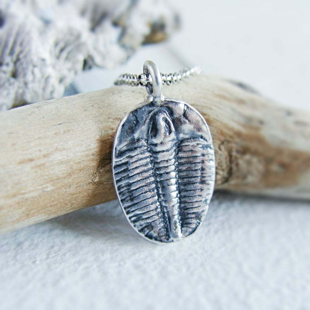 Fine Silver Trilobite Specimen Necklace