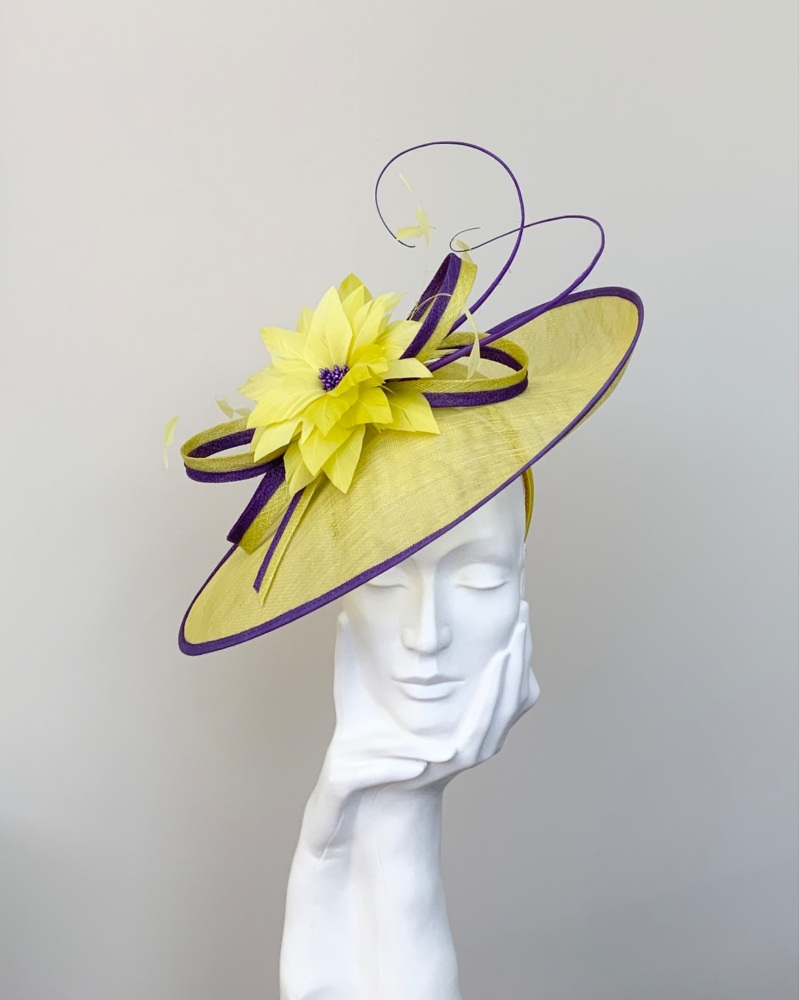 Yellow and Purple Teardrop Hatinator