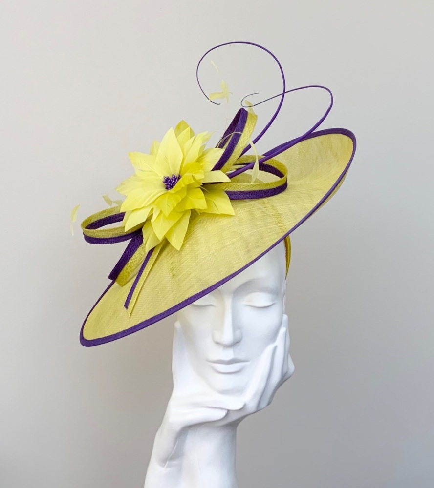 Yellow and Purple Teardrop Hatinator