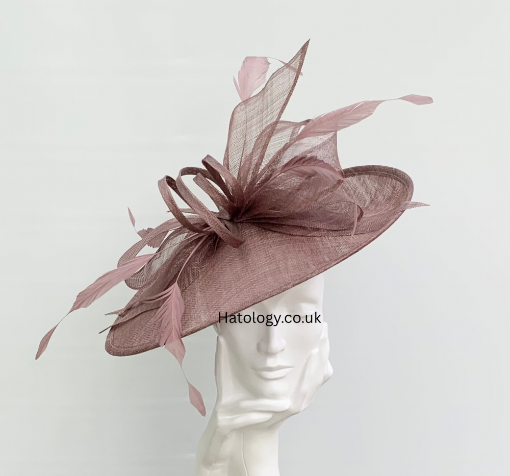 Coffee Brown Bow Hatinator