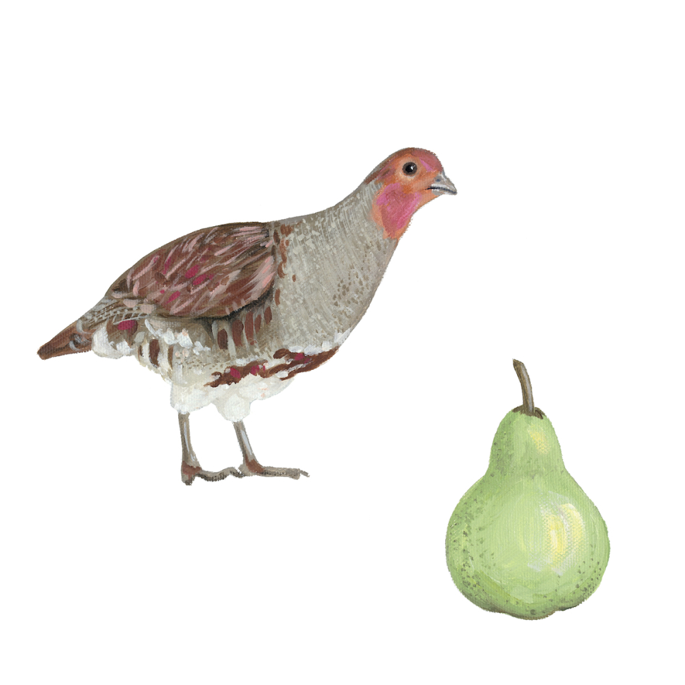Partridge & Pear