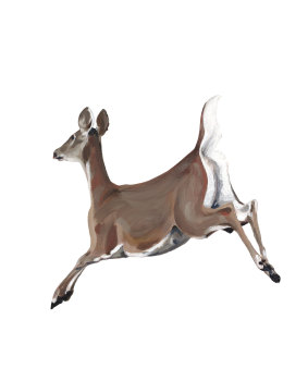 Leaping Deer Wildlife Art Print