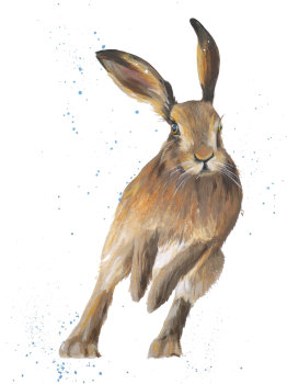 Derek- Hare Wildlife Art Print
