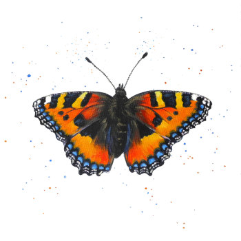 Tortoiseshell Butterfly Print