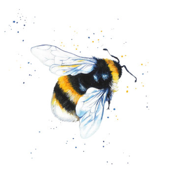 Bumble Bee Print