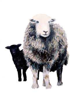 Herdwick Ewe and Lamb- ORIGINAL