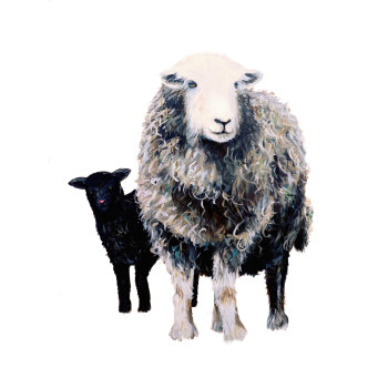 Herdwick Ewe and Lamb Art Print