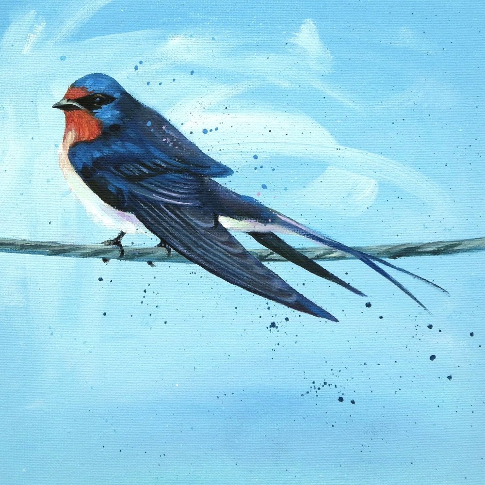 Barn Swallow card