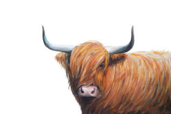 Hamish- Highland Cow- ORIGINAL