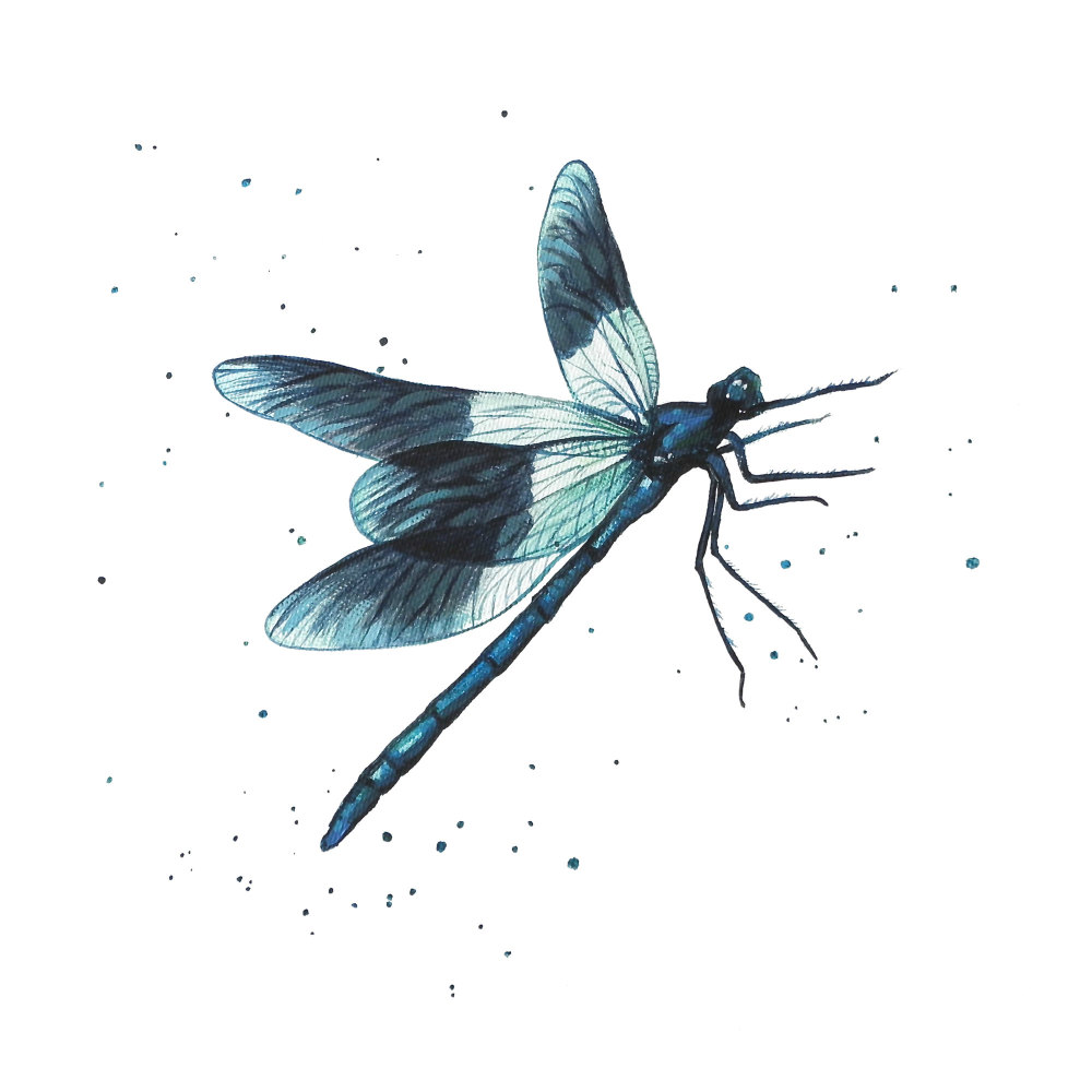 Damslefly