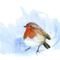 Robin- Original Painting