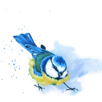 Blue tit- Original Painting