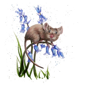 Bluebell Mouse Wildlife Print