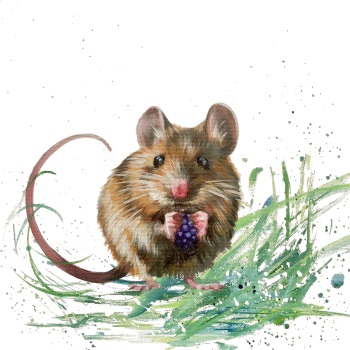 Miles- Field Mouse