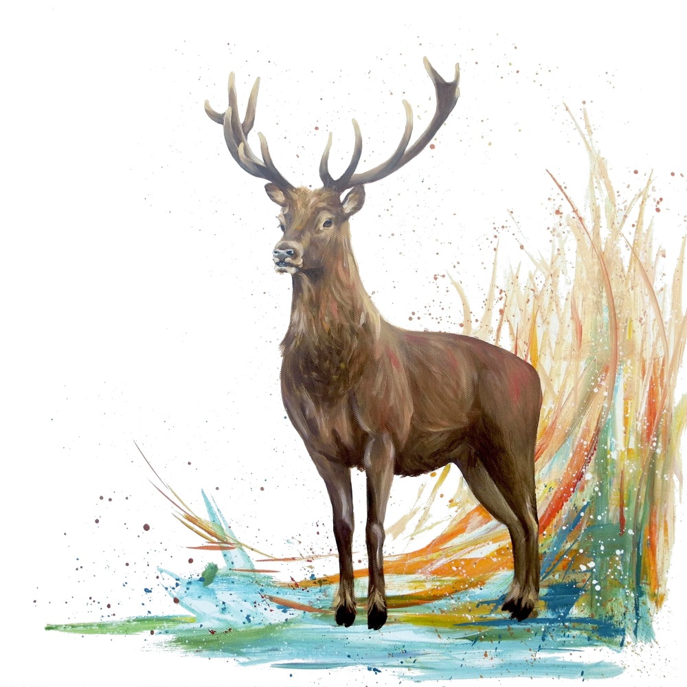 Ivan- Stag