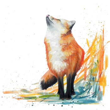 Felix- Fox (First Snow) Wildlife Art Print