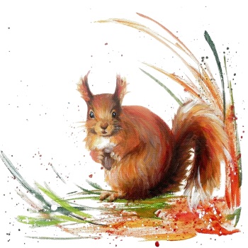 Rusty- Red Squirrel Wildlife Art Print