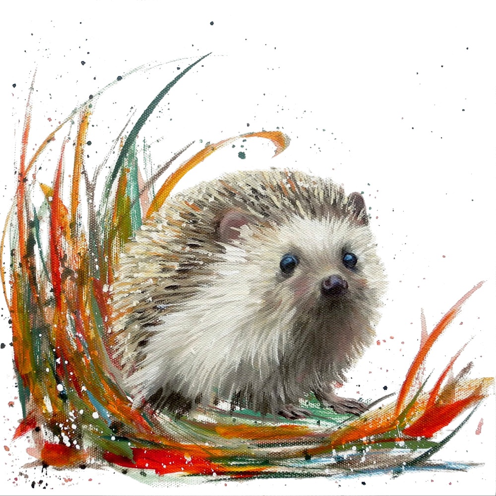 Herbie- Hedgehog