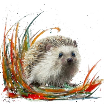 Herbie- Hedgehog Wildlife Art Print