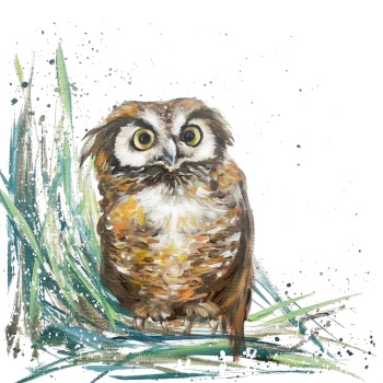 Oswald- Owl Wildlife Art Print