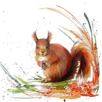 Rusty- Red Squirrel CARD
