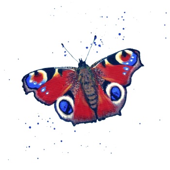Peacock Butterfly MINIPRINT