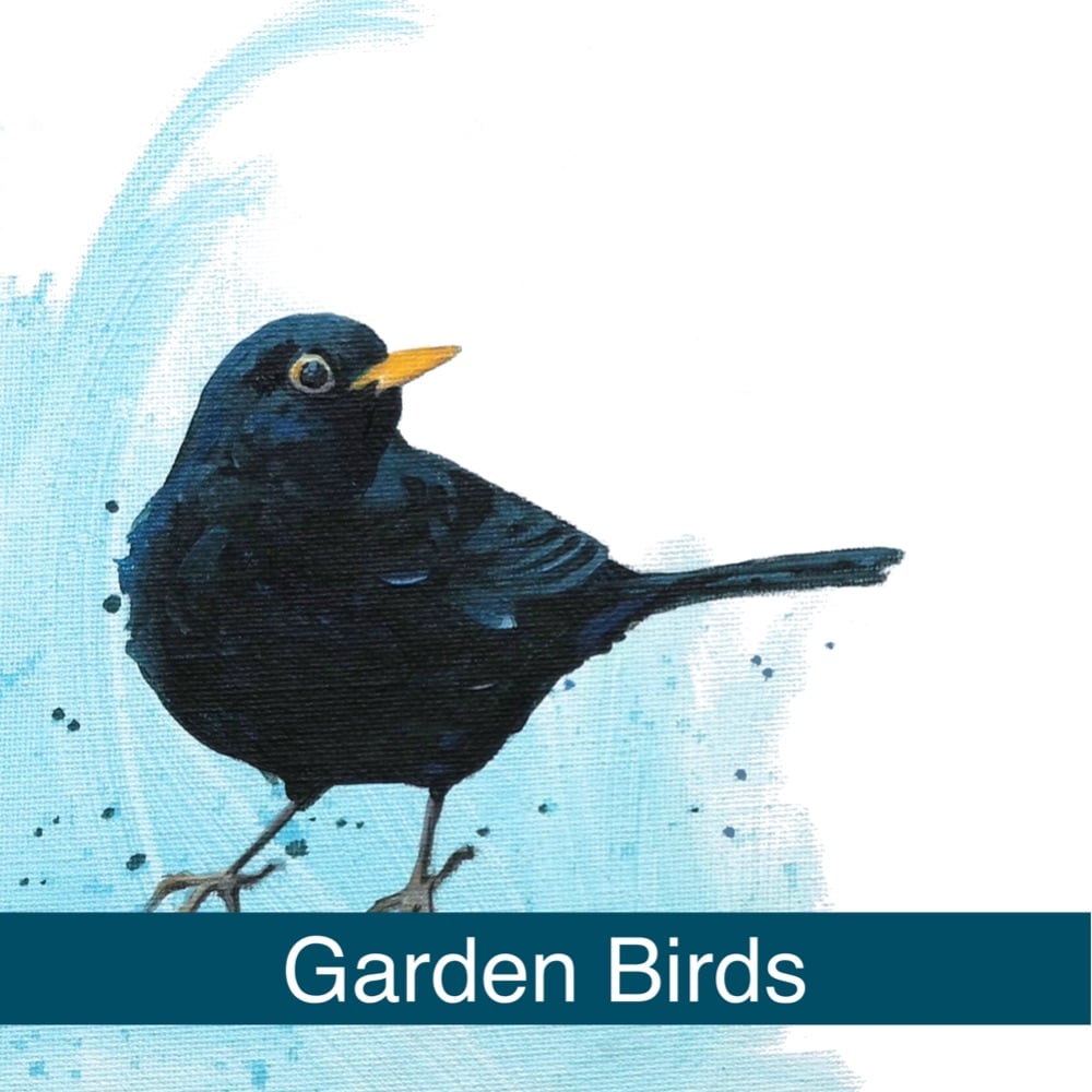 Garden Birds 