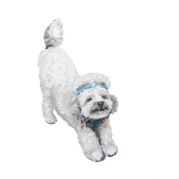 Downward Dog - Poodle PRINT