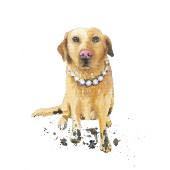 It Wasn't Me! - Labrador PRINT